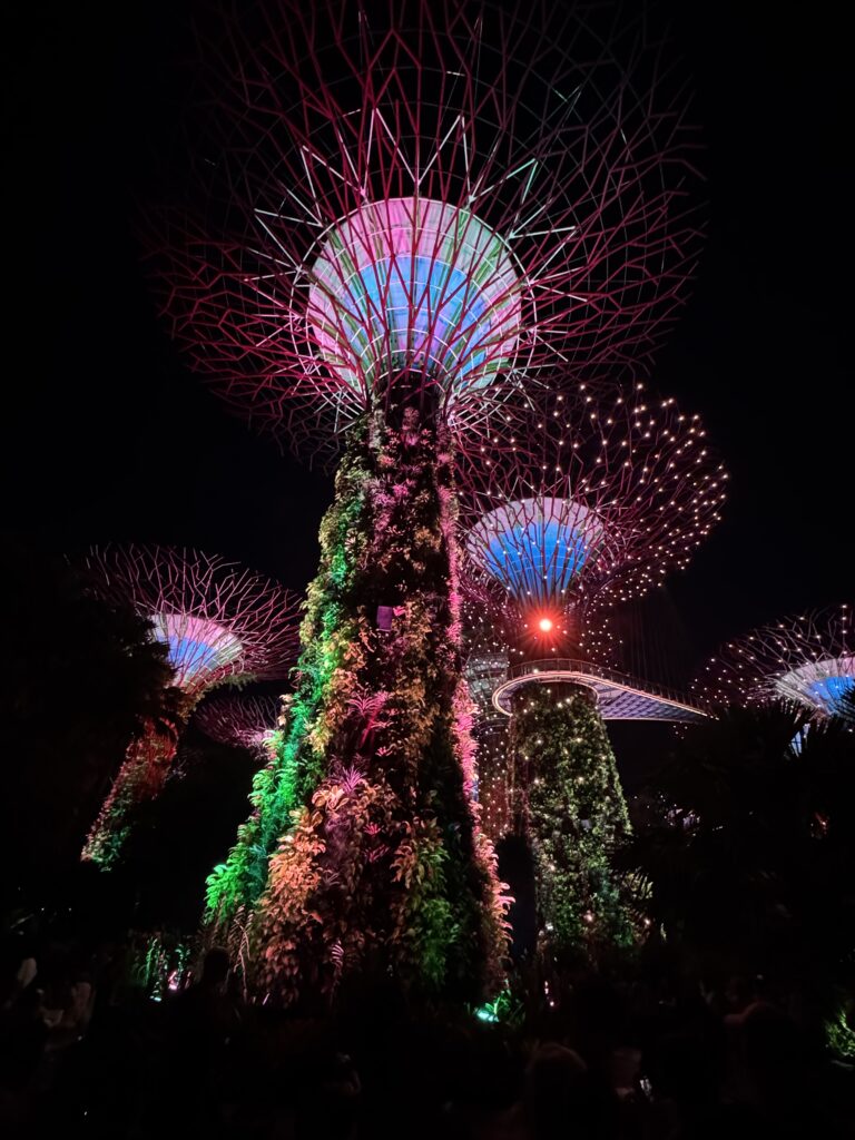 超級樹燈光秀 Supertree Grove Night Show | 新加坡絕美夜景