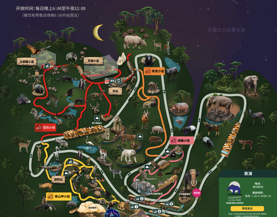 夜間動物園 Night Safari|初訪者必看!兼顧導覽車與「夜晚精靈秀」的最佳路線攻略