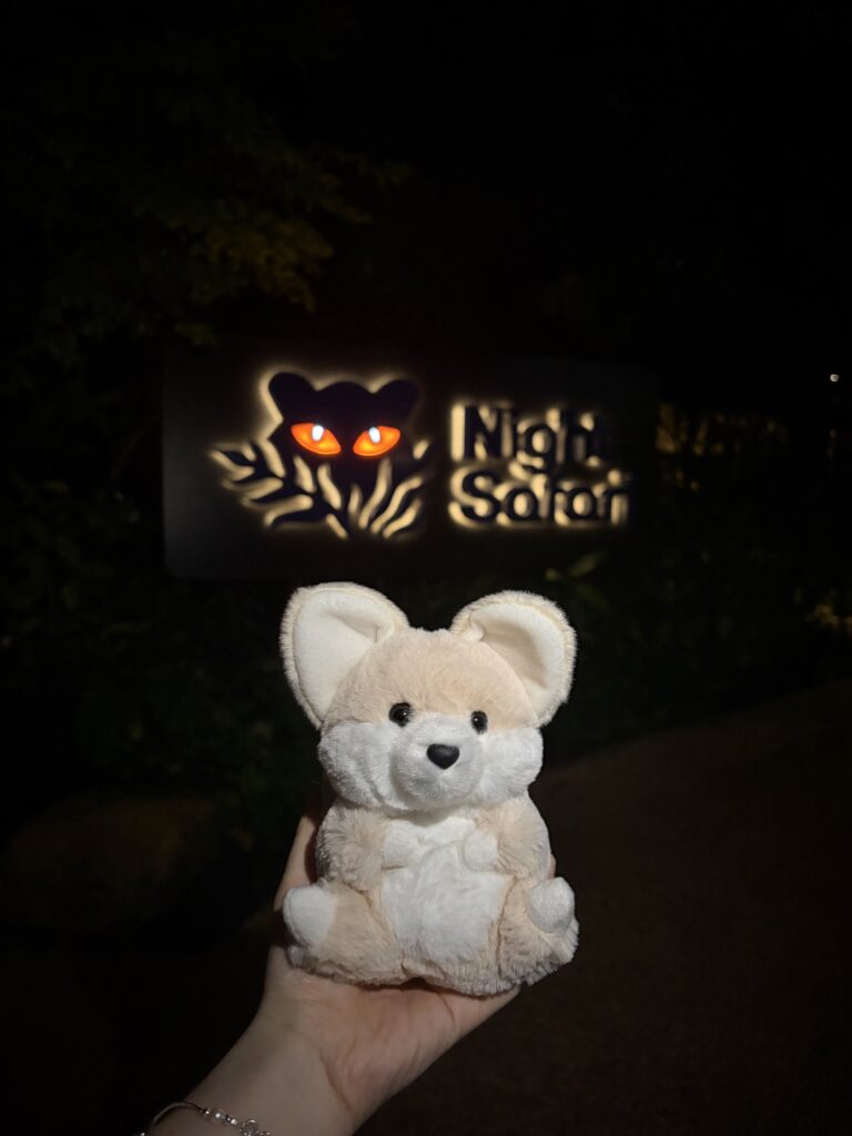 夜間動物園 Night Safari|初訪者必看!兼顧導覽車與「夜晚精靈秀」的最佳路線攻略